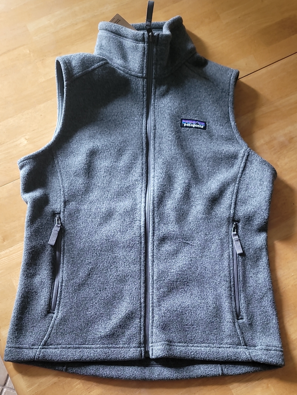 Patagonia Synchilla Vest